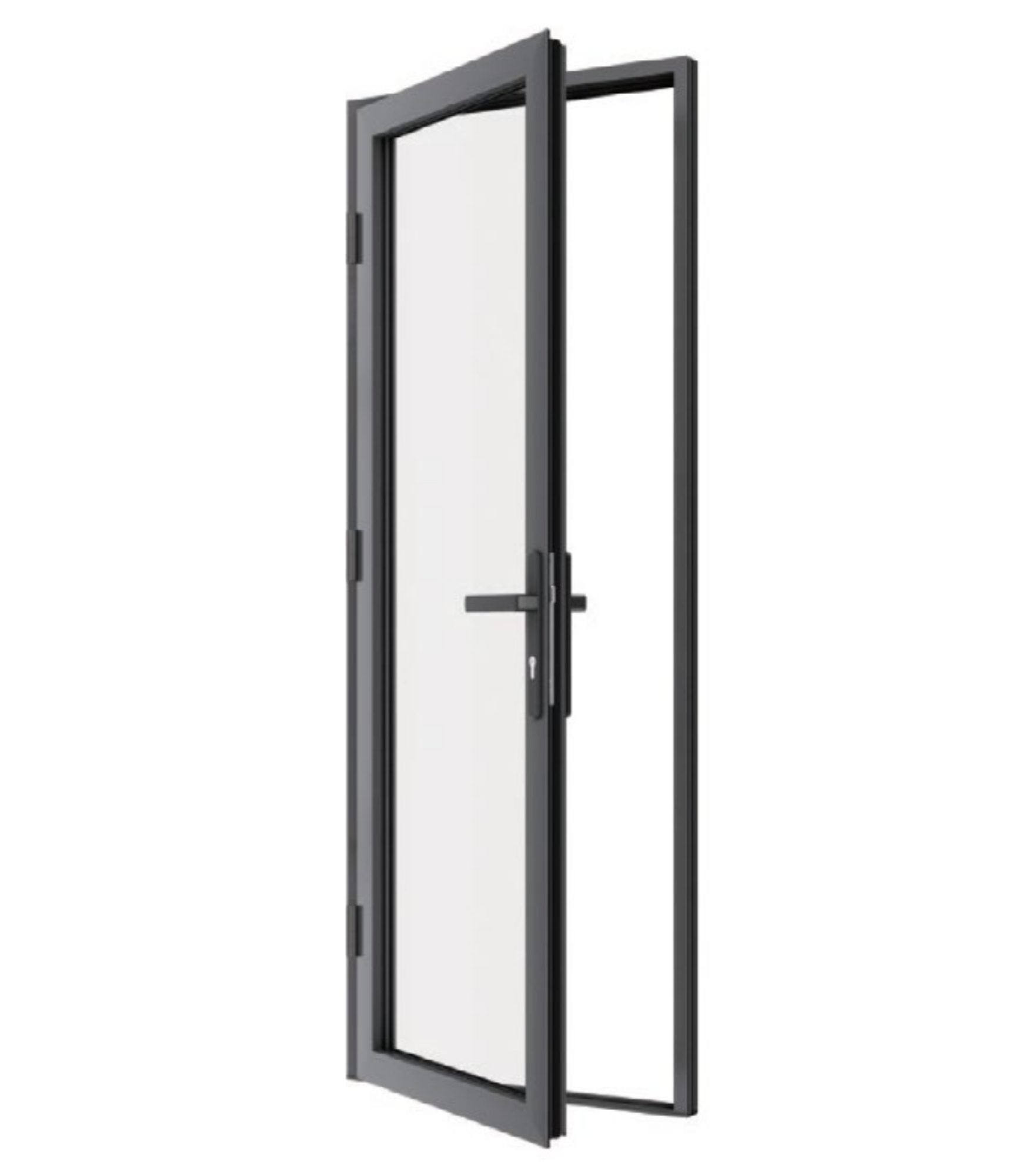 VLX 100 Swing / Entry Door in Palm Beach, FL | TruePane Windows & Doors - detail 2