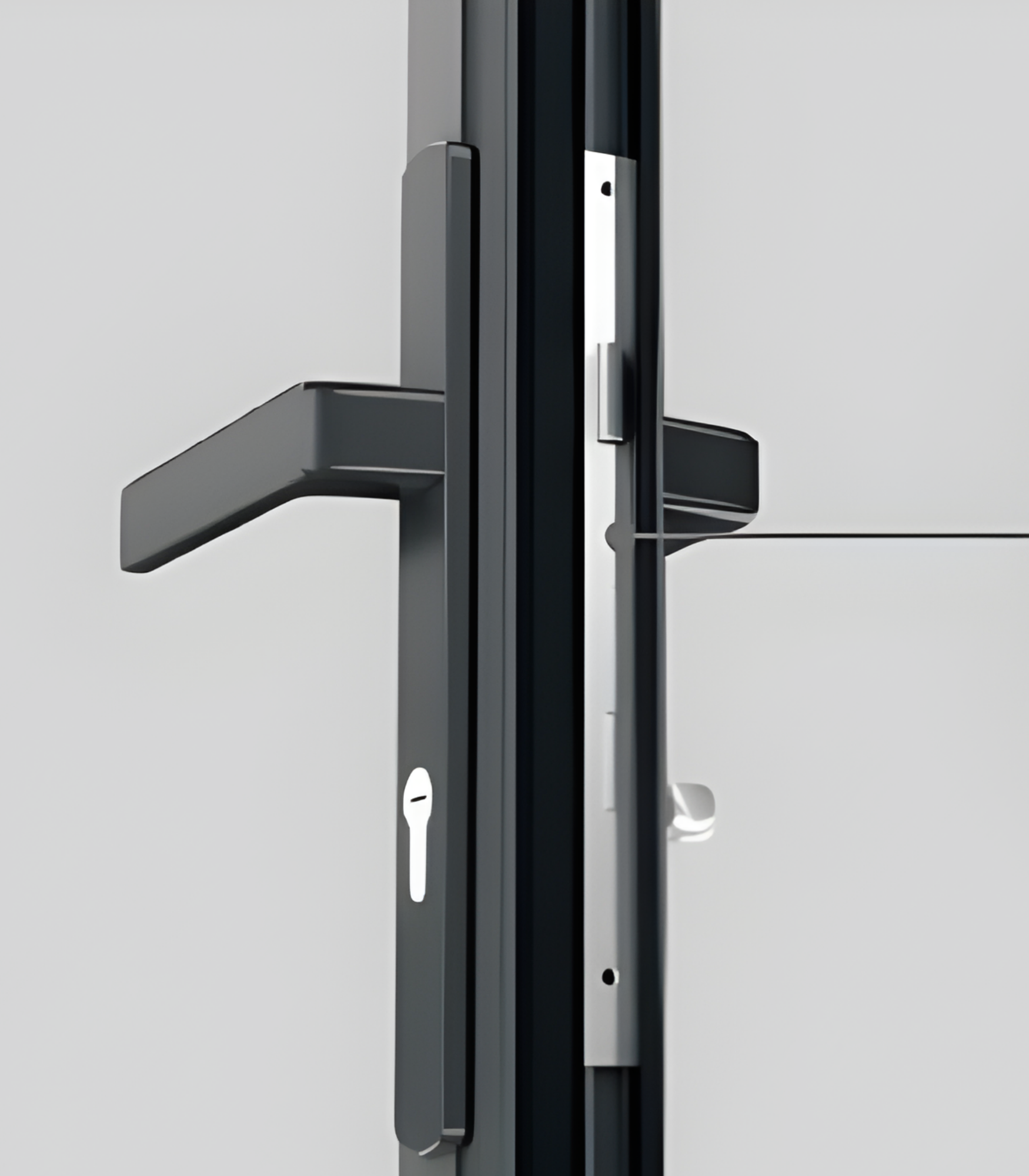 VLX 100 Swing / Entry Door in Palm Beach, FL | TruePane Windows & Doors - detail 5
